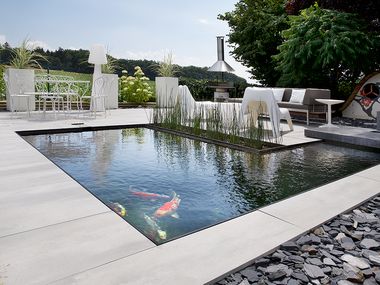 A pool with koi carp