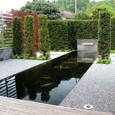 Garden pond