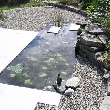 Garden pond