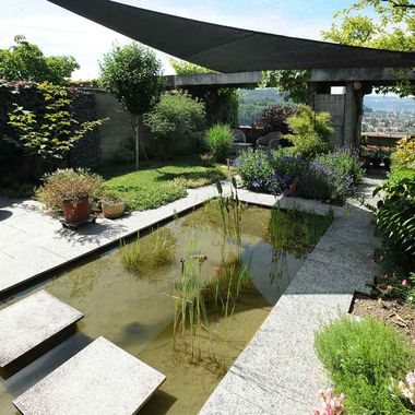 Garden pond