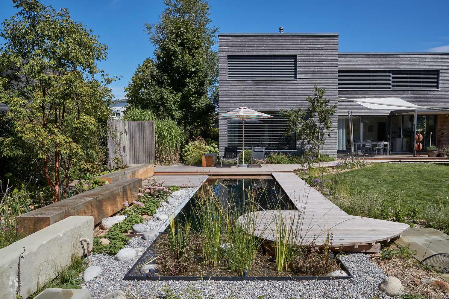 Biopool mit Holzdeck vor dem modernen Einfamilienhaus, umgeben von Stauden