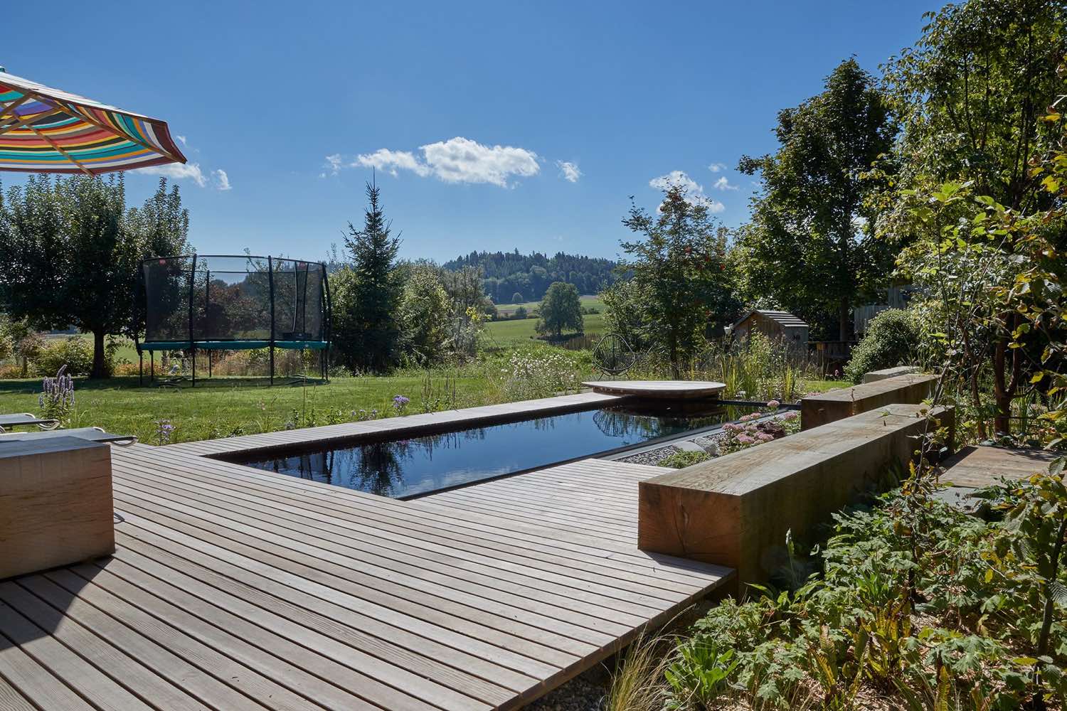 Längsansicht des Biopools mit blühenden Stauden entlang des Holzdecks