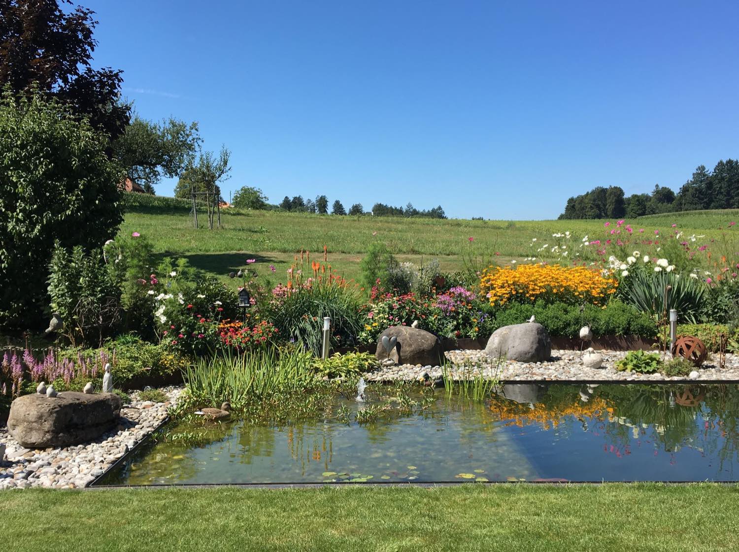 Gartenteich aus Kunststoff mit bepflanztem Ufer, eingebettet in die Wiese beim Bauernstöckli