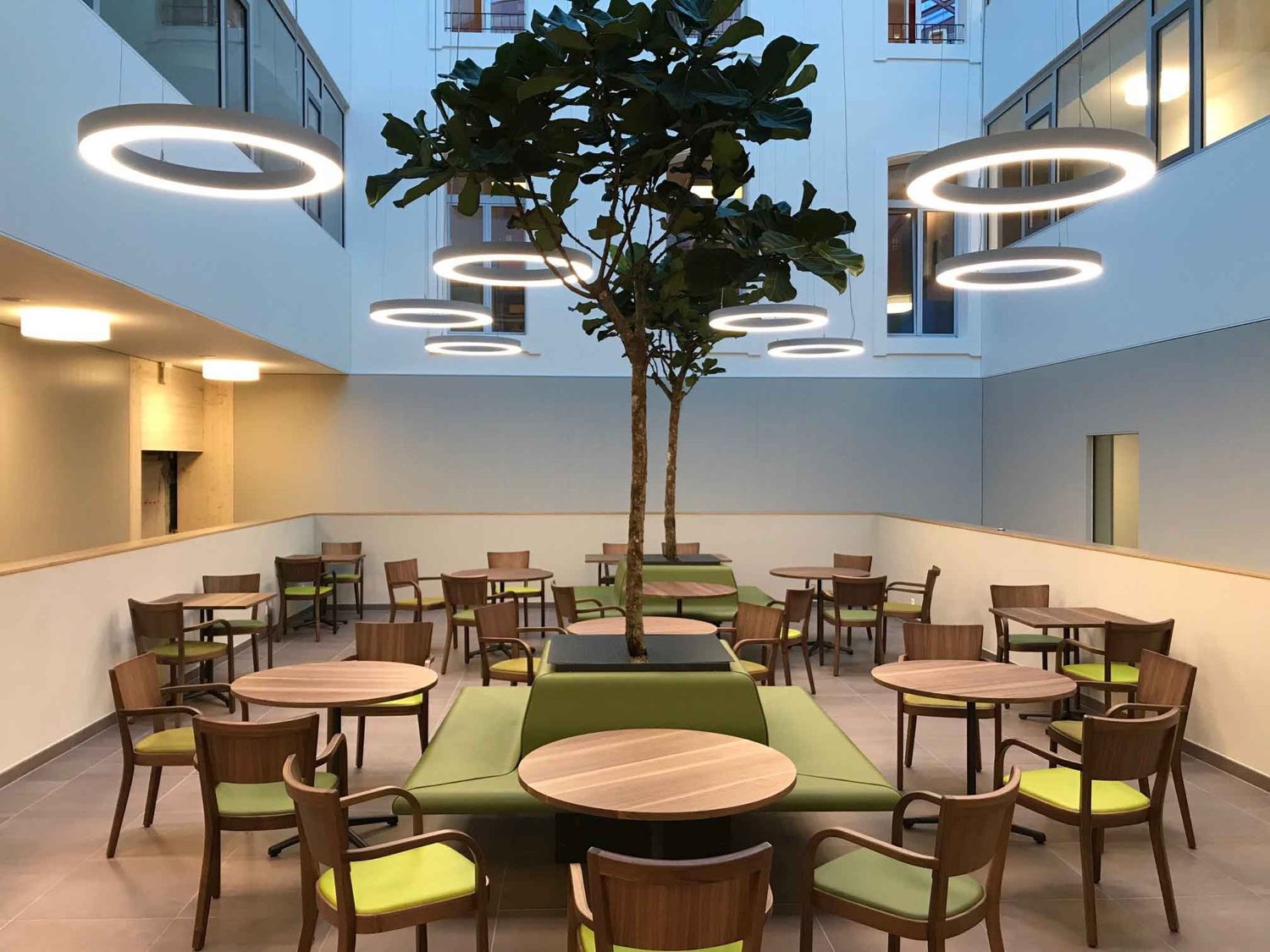 Cafeteria mit begrüntem Innenraum: ein Baum steht in einem eingebauten Pflanzentrog